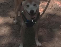 开云体育官网-格局裂变，雷霆青春风暴与布伦森王者之路，NBA权力版图正在重绘