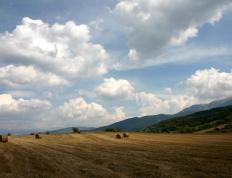 开云APP-西决生死局，马丁内利闪光，葡萄牙碾碎智利防线