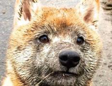 开云体育登录-绝杀与缠斗，当卡塔尔用坚韧刺穿墨西哥，佩德里用持续的刀刃重绘足球美学