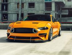 开云APP-尼斯关键战突围阿根廷，恩佐一剑封喉成关键先生