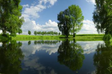 开云体育app-保罗惊艳爆发引领凯尔特人狂潮，提前终结悬念深圳队饮恨赛场