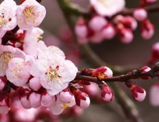 开云体育平台APP-恩佐一剑封喉！大场面先生助韩国斩落巴拉圭