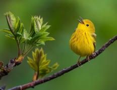 开云平台-赛道超车，当字母哥在F1揭幕战踩下夺冠油门