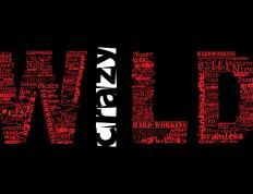 开云下载-冰冷客场，保罗与他的辽宁军魂，领袖的意义是唤醒沉睡的巨人