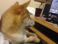 开云官网-决胜时刻，爱德华兹的铁血绝杀与詹姆斯导演的德比之夜