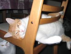 开云APP-雷霆决胜局横扫湖人，利拉德全面数据缔造传奇