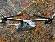 开云体育登录-阿什拉夫焦点战闪耀自我，玻利维亚爆冷掀翻巴黎圣日耳曼