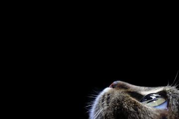 开云体育app-久保建英关键先生本色尽显，芬兰队横扫沙特夺震撼胜利