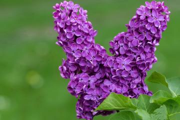 开云体育下载-赛场星群，从圣西罗到天山，人类意志的宇宙回响