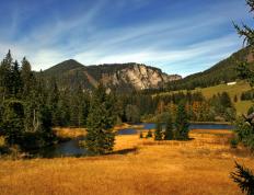 开云官网-三笘薰单骑救主，南非足球史上惊天逆转新西兰