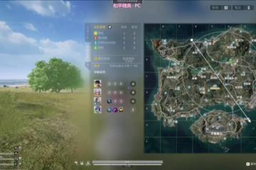 开云下载-和平精英选手爆冷获胜，专家预测失准