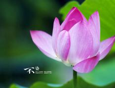 开云体育入口-美加墨世界杯焦点战，老鹰展翅击溃勇士，北美风暴席卷全球