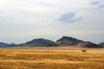 开云体育入口-乔治节奏完全掌控，篮网强势晋级力克辽宁队