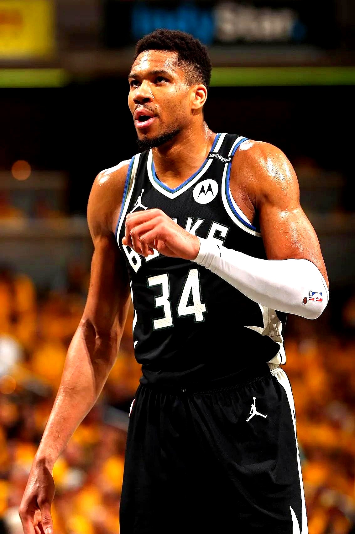 开云体育官方网站-关于雄鹿完胜灰熊,字母哥全方位表现力压库里的信息