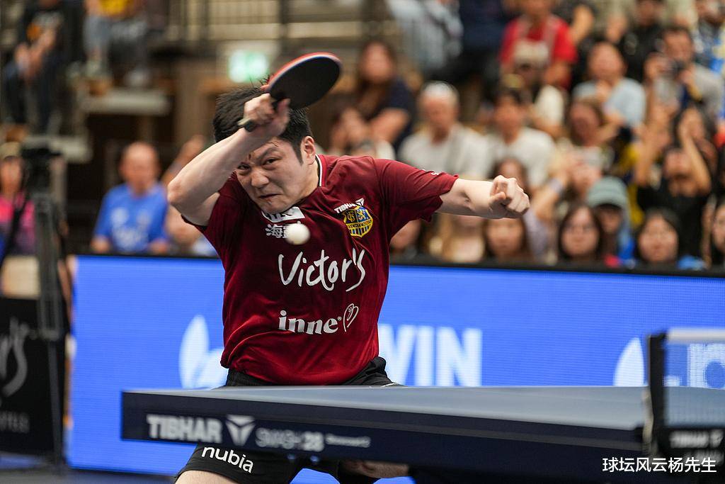 开云平台-关于瑞典乒乓球队爆冷德国乒乓球队，樊振东惊艳世界的信息