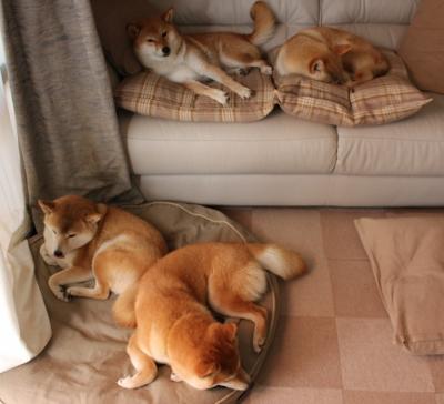 开云体育登录-吉林队强势晋级掀翻猛龙,杜兰特赛后评分拉满引热议