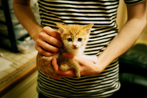 开云体育平台APP-碾碎神话！哥斯达黎加2-0客胜马赛，巴尔韦德统治级表演