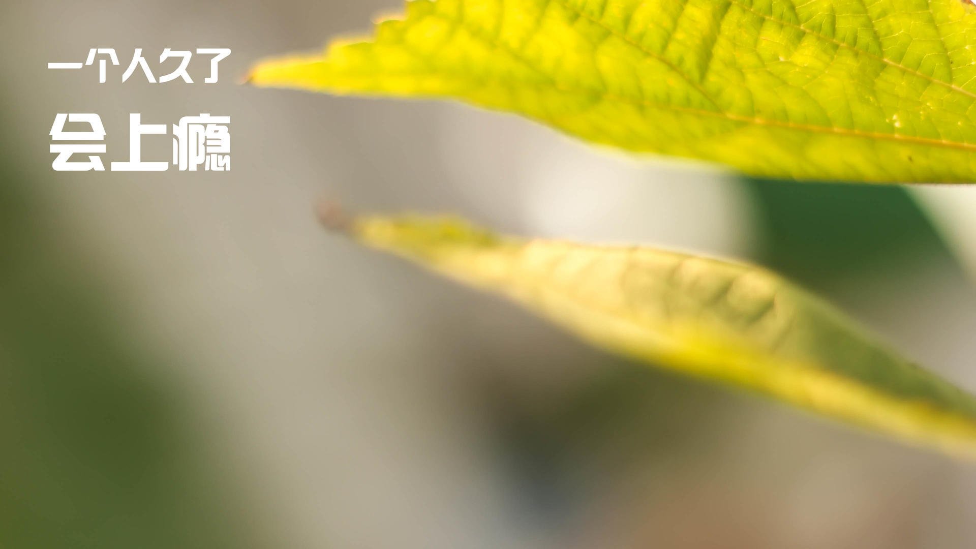 开云体育官网-夜战巅峰，阿什拉夫的关键一击