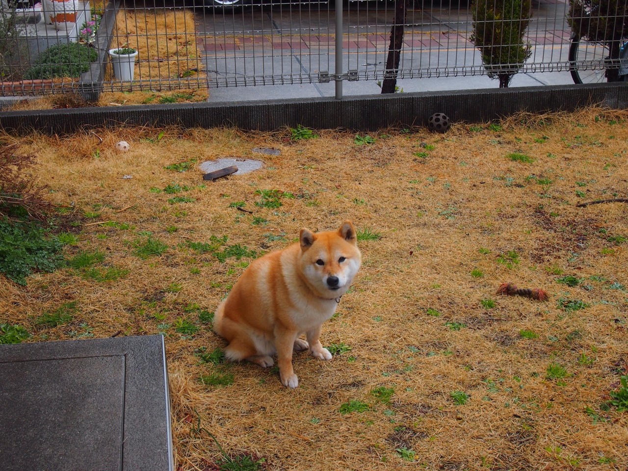 开云平台-绝境铁骑，帕尔默的孤星之夜
