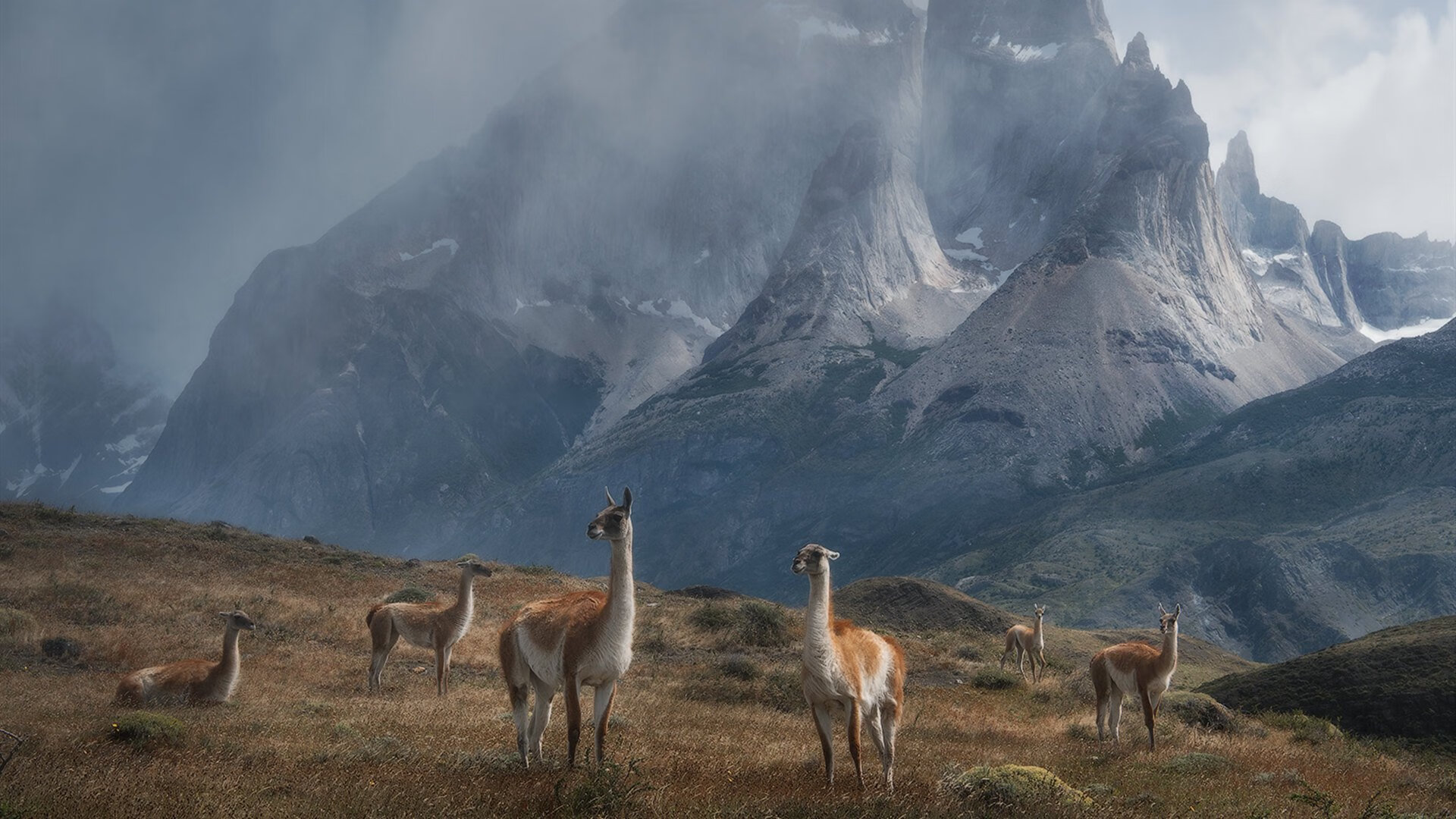 开云体育APP下载-浴火重生，杰伦·格林抢七之战铸就不朽传奇