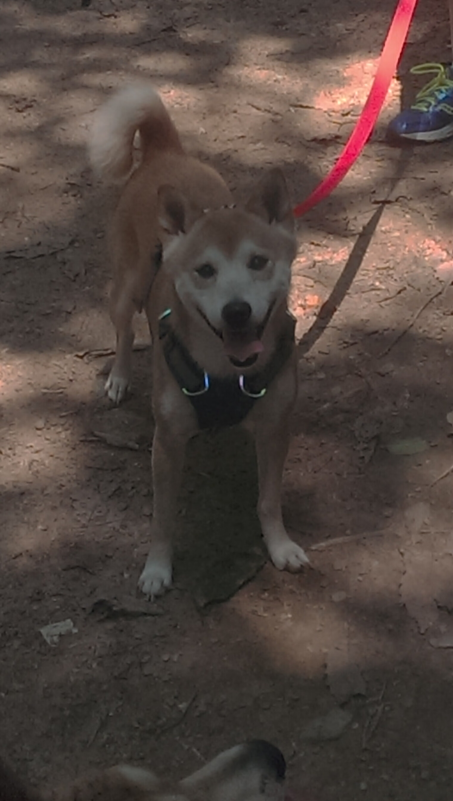 开云体育官网-格局裂变，雷霆青春风暴与布伦森王者之路，NBA权力版图正在重绘