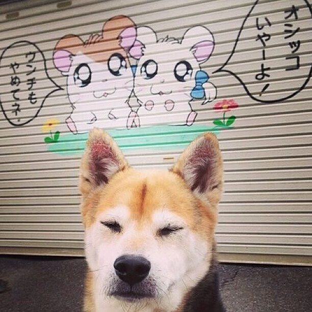 开云下载-生死时速！武切维奇打出生涯夜，开拓者加时险胜鹈鹕闯入总决赛