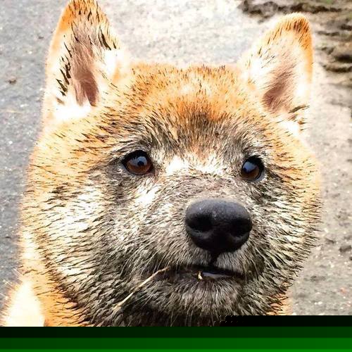 开云体育登录-绝杀与缠斗,当卡塔尔用坚韧刺穿墨西哥,佩德里用持续的刀刃重绘足球美学