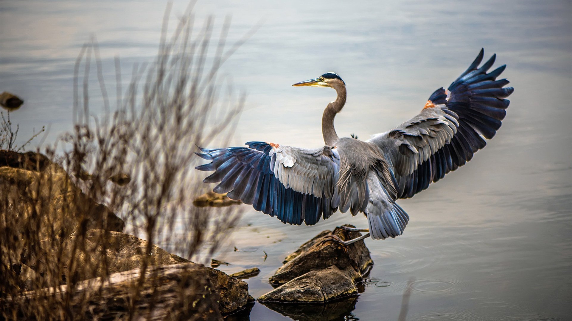 开云体育-绿茵教科书,阿坎吉一役,写尽足球智慧