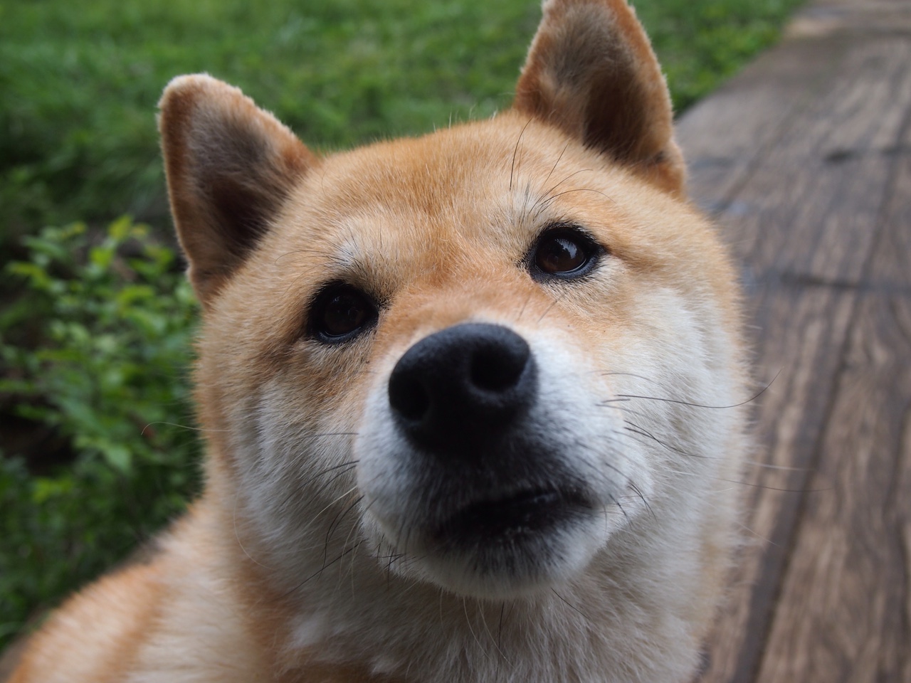 开云平台-篮球世界的双面镜,当团队韧性掀翻天赋,个人稳定如何定义伟大?