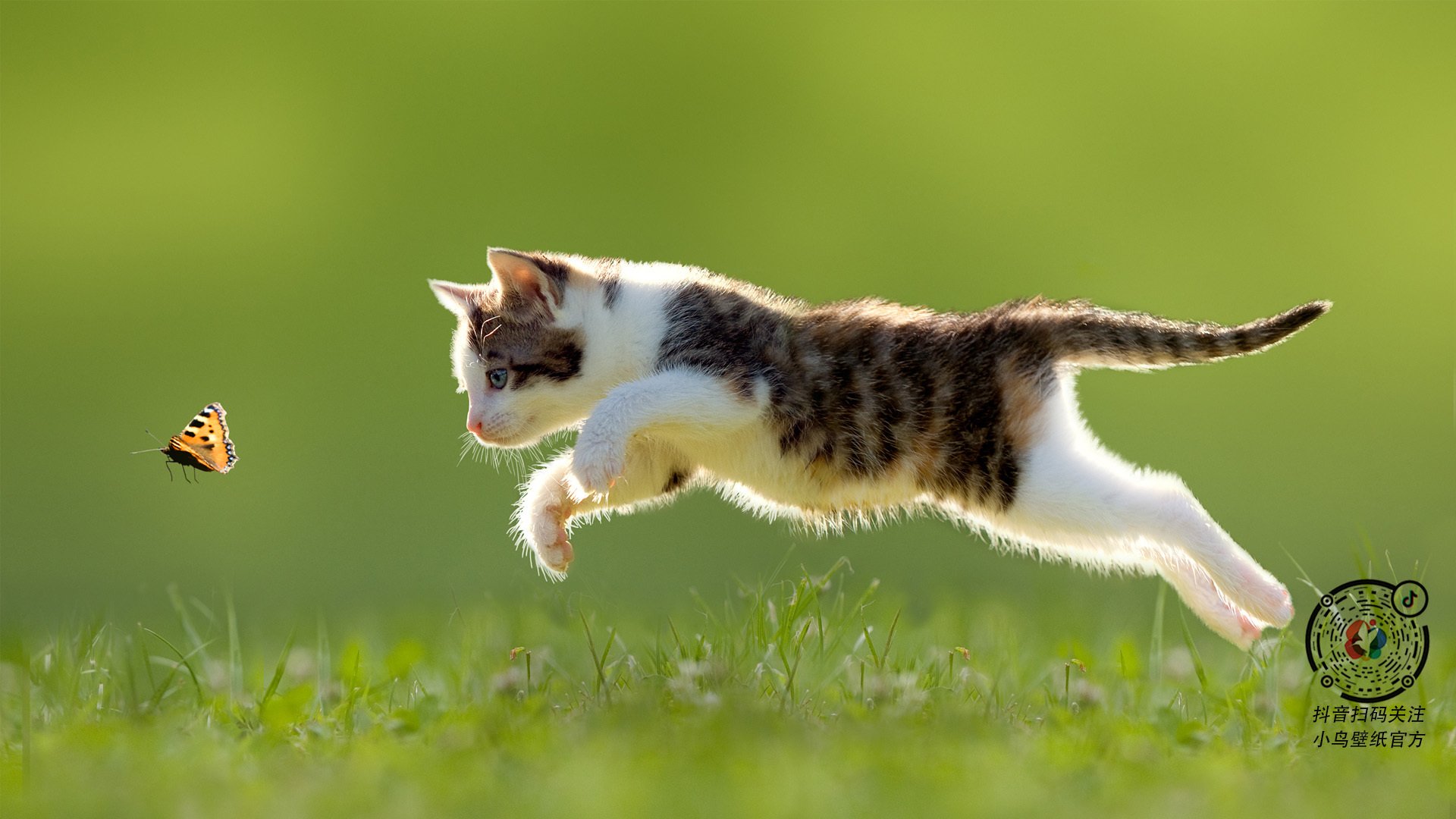 开云官网-欧冠烽烟中,哈登是今夜的总导演