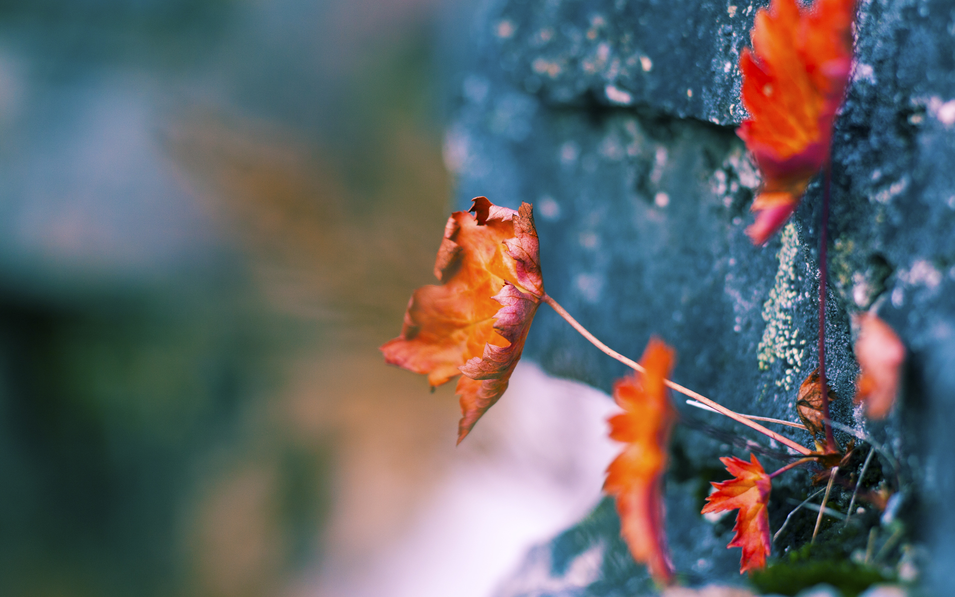 开云APP-疾风与闪电,当布克的利刃划破深圳夜空