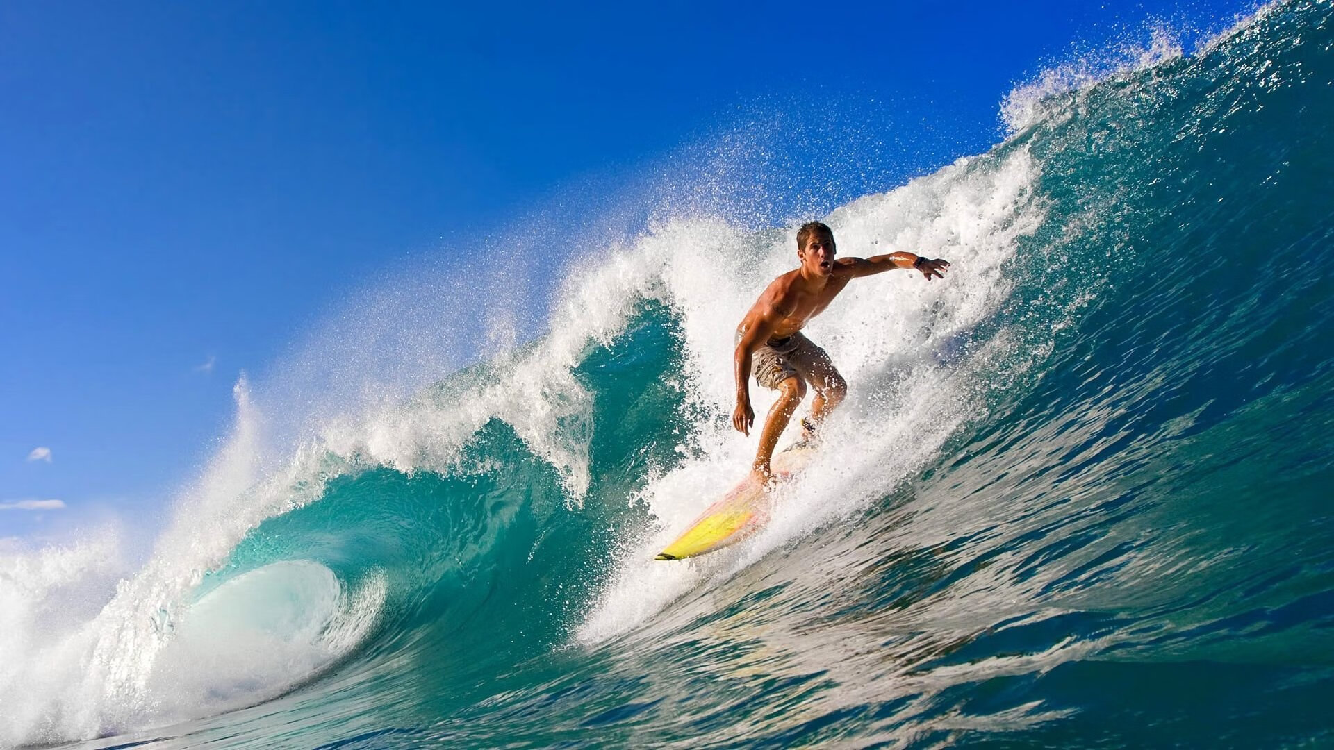 开云体育APP下载-双线奏凯,竞技体育的胜利交响曲