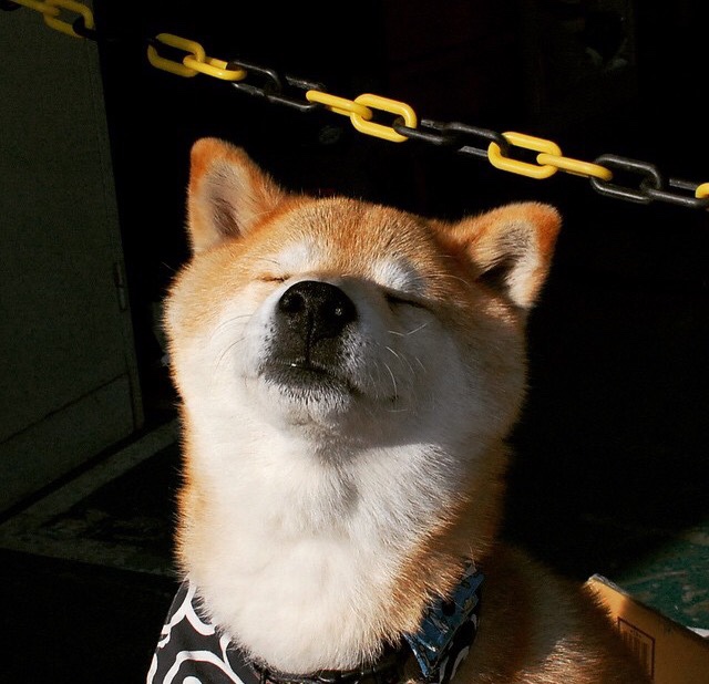 开云体育登录-文班亚马，攻防转换的轴心，新疆单节击溃吉林的隐形引擎