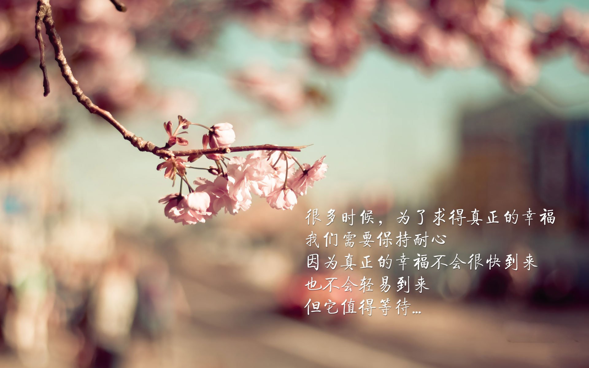 开云体育APP下载-哈利伯顿独舞夜,火箭屠深圳背后的真正杀器