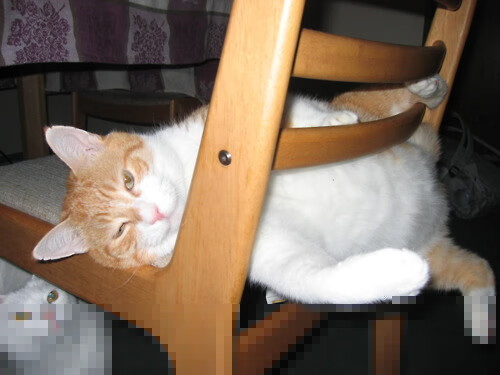 开云APP-雷霆决胜局横扫湖人,利拉德全面数据缔造传奇